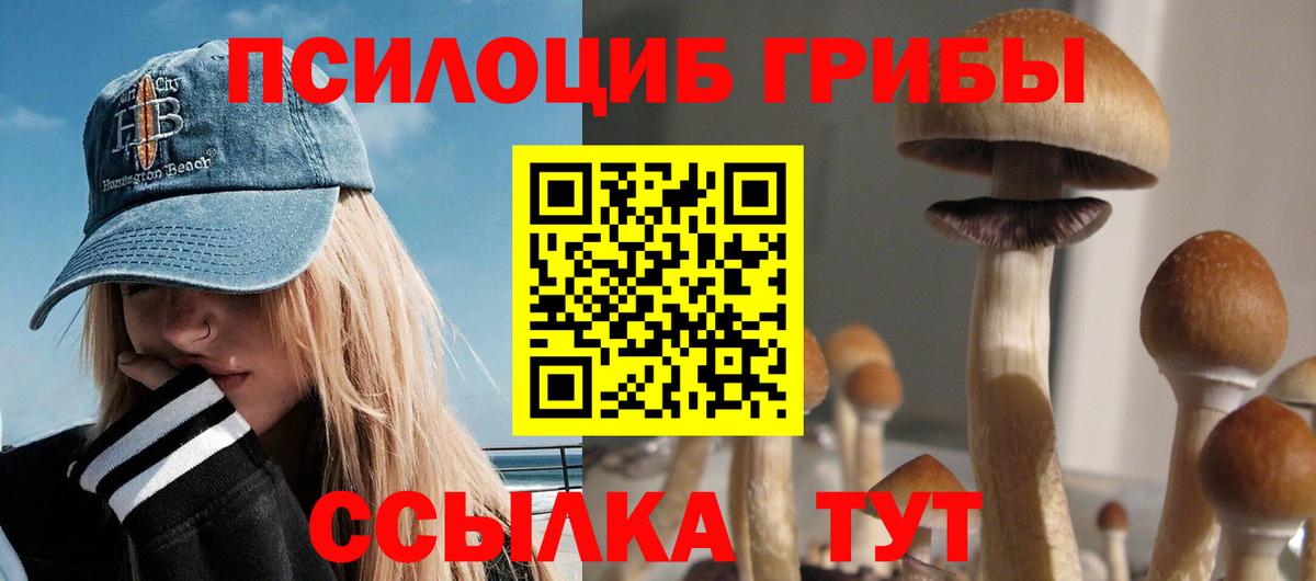Псилоцибиновые грибы Magic Shrooms Чита