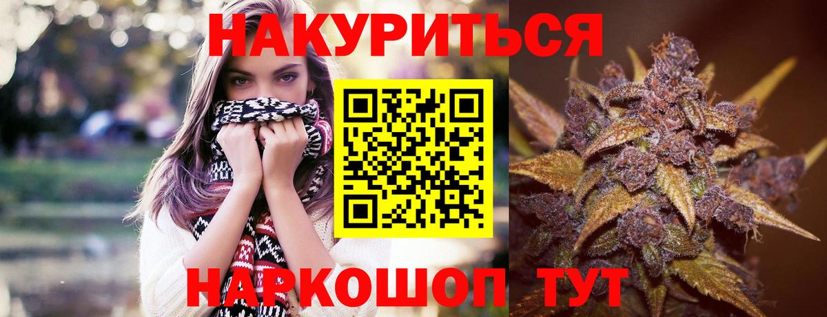 Канабис OG Kush Чита